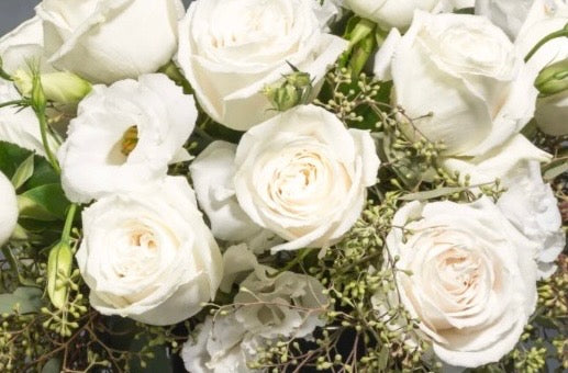All White Designer's Choice